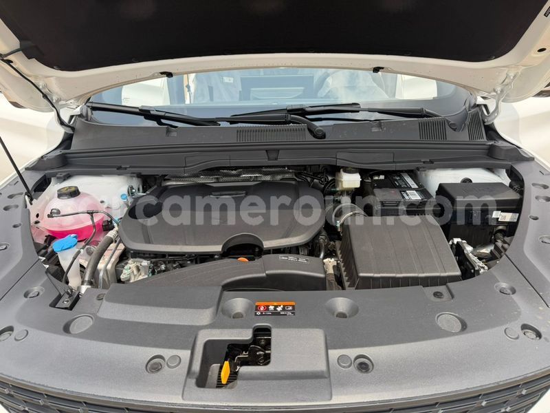 Big with watermark geely beauty leopard central cameroon yaounde 22585