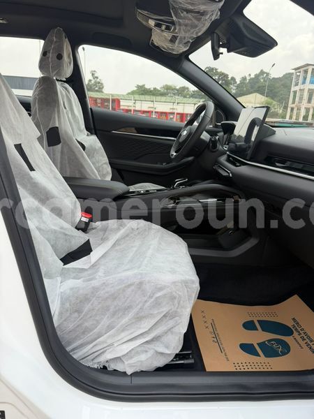 Big with watermark geely beauty leopard central cameroon yaounde 22585