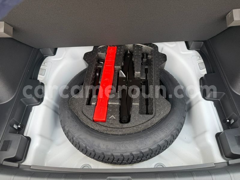 Big with watermark geely beauty leopard central cameroon yaounde 22585