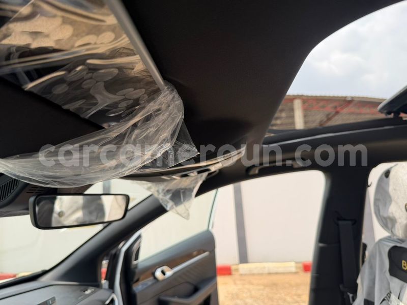 Big with watermark geely beauty leopard central cameroon yaounde 22585