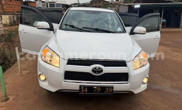 Sayi Na hannu Toyota RAV4 White Mota in Yaounde a Babban Kamaru