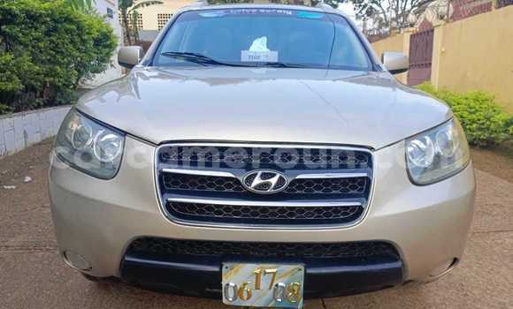 Sayi Na hannu Hyundai Santa Fe Azurfa Mota in Yaounde a Babban Kamaru