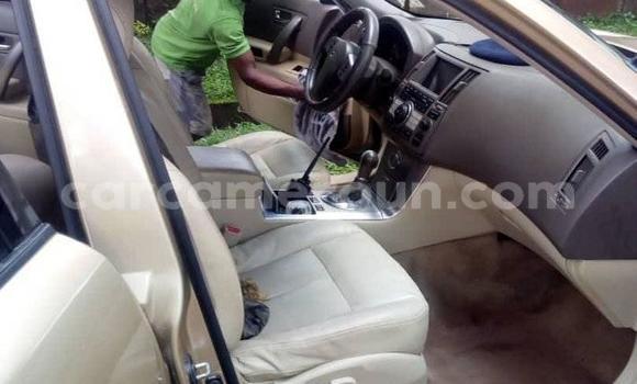 Acheter Occasion Voiture Infinity Q45 Marron à Douala, Littoral Cameroon Acheter Occasion Voiture Infinity Q45 Marron à Douala, Littoral Cameroon