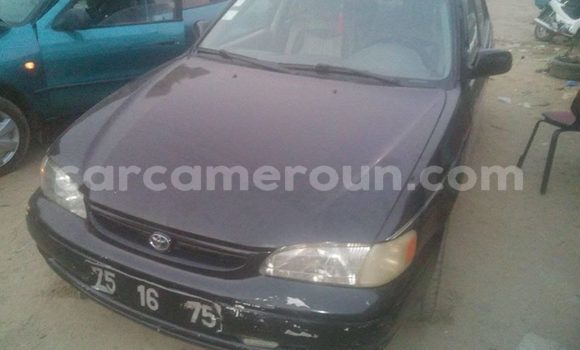 Acheter Occasion Voiture Toyota Corolla Noir à Douala, Littoral Cameroon Acheter Occasion Voiture Toyota Corolla Noir à Douala, Littoral Cameroon