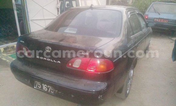 Acheter Occasion Voiture Toyota Corolla Noir à Douala, Littoral Cameroon Acheter Occasion Voiture Toyota Corolla Noir à Douala, Littoral Cameroon