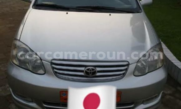 Sayi Na hannu Toyota Corolla Azurfa Mota in Yaounde a Babban Kamaru Sayi Na hannu Toyota Corolla Azurfa Mota in Yaounde a Babban Kamaru