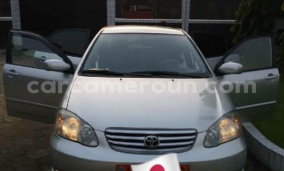 Sayi Na hannu Toyota Corolla Azurfa Mota in Yaounde a Babban Kamaru Sayi Na hannu Toyota Corolla Azurfa Mota in Yaounde a Babban Kamaru