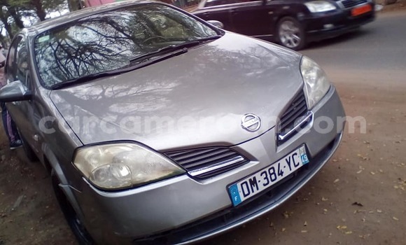 Sayi Na hannu Nissan Primera Azurfa Mota in Yaounde a Babban Kamaru Sayi Na hannu Nissan Primera Azurfa Mota in Yaounde a Babban Kamaru