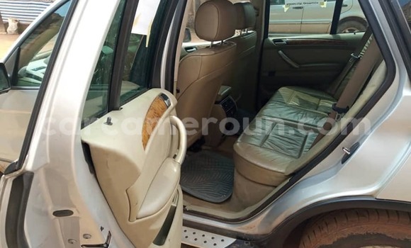 Sayi Na hannu BMW X5 Azurfa Mota in Yaounde a Babban Kamaru Sayi Na hannu BMW X5 Azurfa Mota in Yaounde a Babban Kamaru