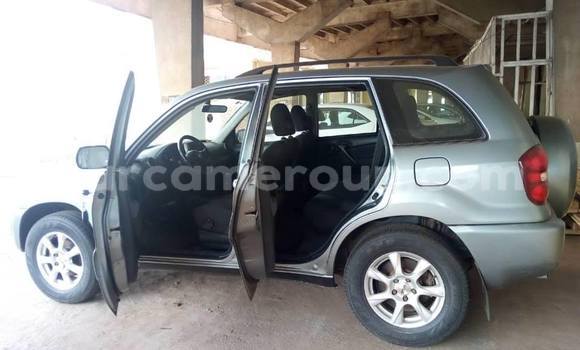Sayi Na hannu Toyota RAV4 Azurfa Mota in Douala a Ƙasar Kamaru Sayi Na hannu Toyota RAV4 Azurfa Mota in Douala a Ƙasar Kamaru