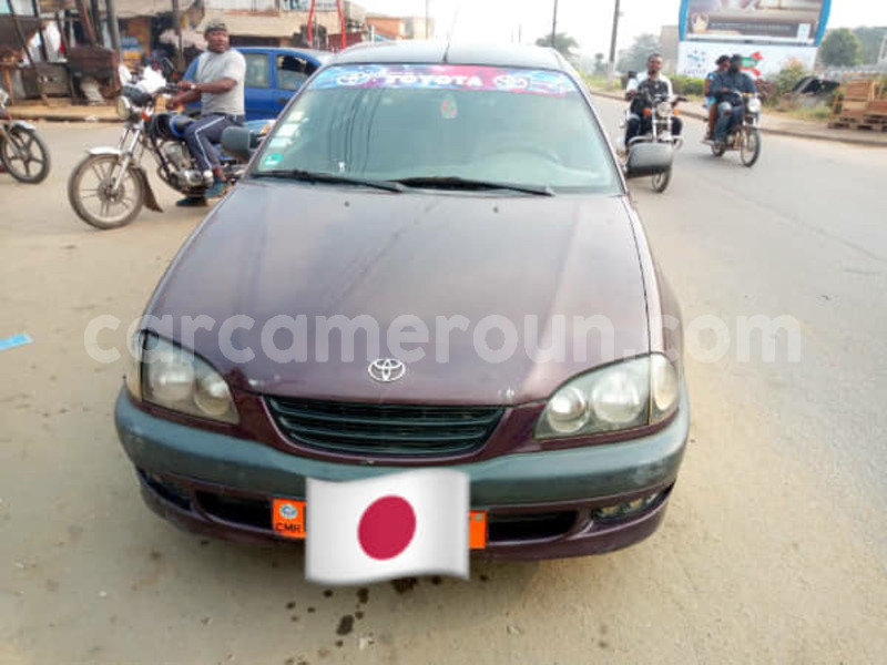 Big with watermark 50267724 303375443650551 6353415236866801664 n