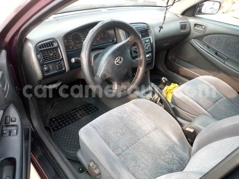 Big with watermark 49664342 303375560317206 8102310393491226624 n