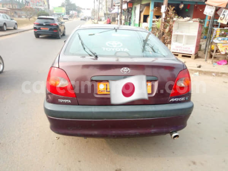 Big with watermark 49731945 303375493650546 3574790375262388224 n