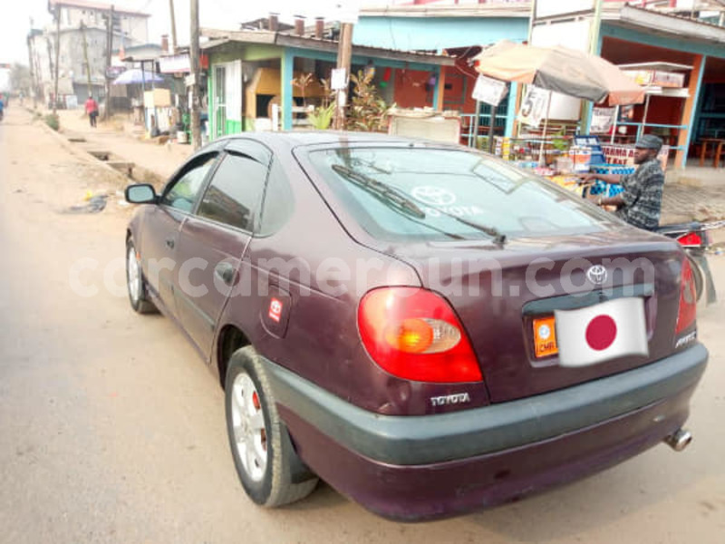 Big with watermark 49848422 303375466983882 9080800653298630656 n