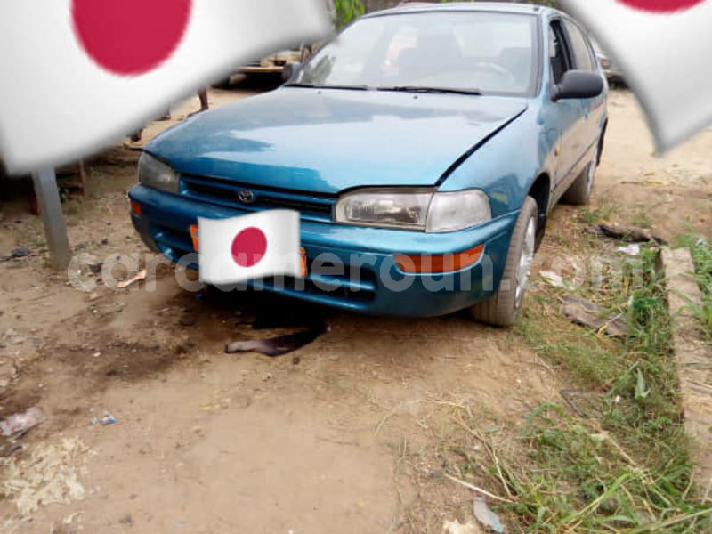 Big with watermark 50451981 303307936990635 1307971559159234560 n