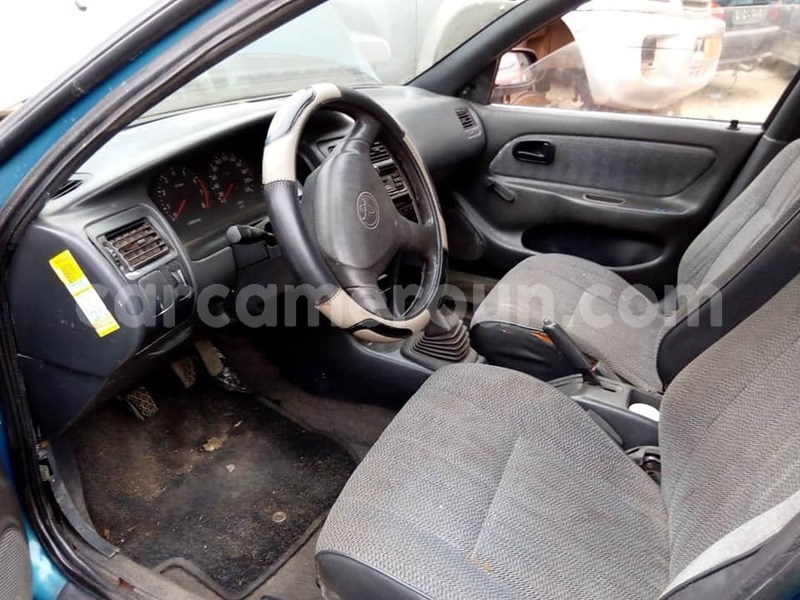 Big with watermark 49236720 303307970323965 2294942012849258496 n