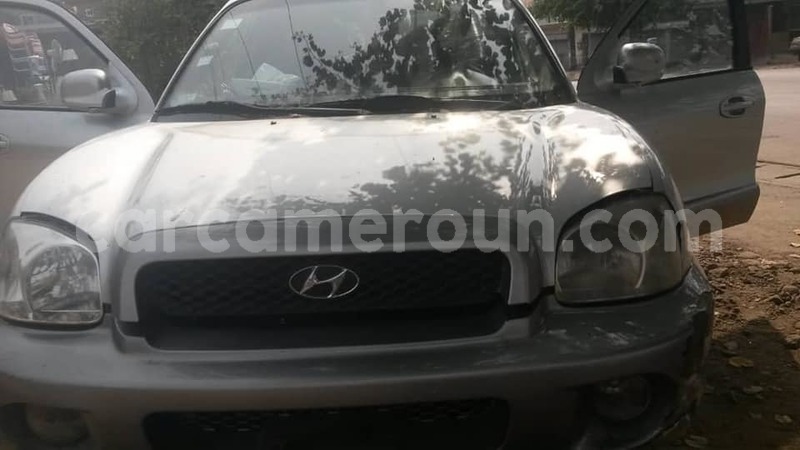 Big with watermark 49792265 231179531134707 2902187316908916736 n