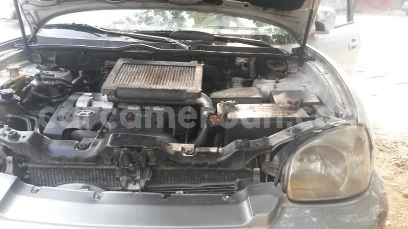 Big with watermark 49864964 231179944467999 1308953088035389440 n