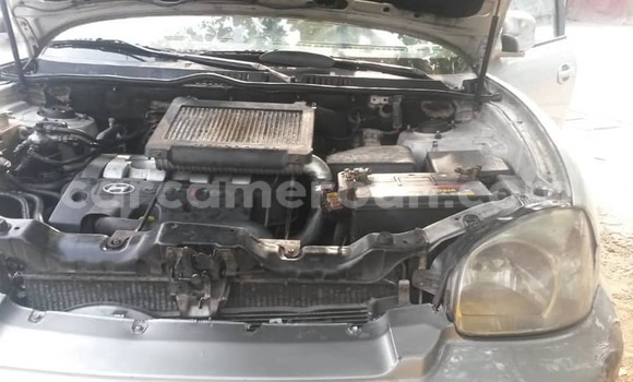 Acheter Occasion Voiture Hyundai Santa Fe Gris à Yaoundé, Central Cameroon Acheter Occasion Voiture Hyundai Santa Fe Gris à Yaoundé, Central Cameroon