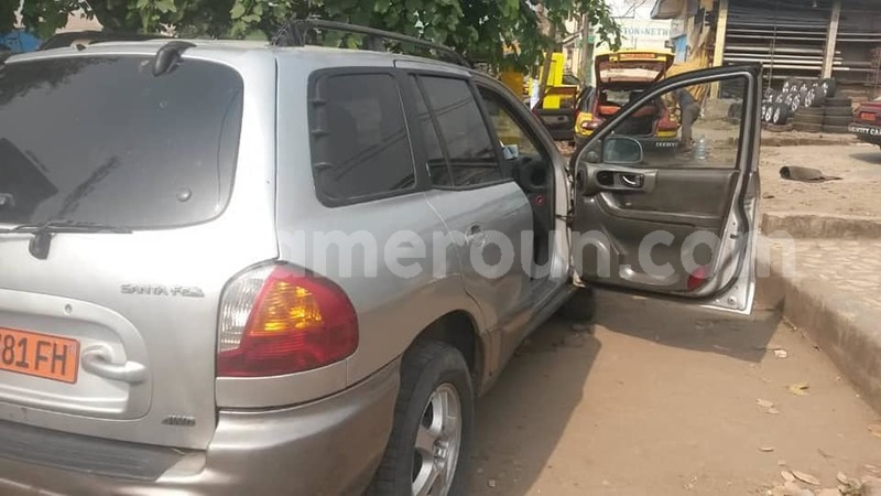 Big with watermark 50068661 231179874468006 1987969176806883328 n