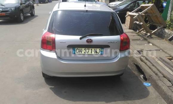 Acheter Occasion Voiture Toyota Corolla Gris à Yaoundé, Central Cameroon Acheter Occasion Voiture Toyota Corolla Gris à Yaoundé, Central Cameroon
