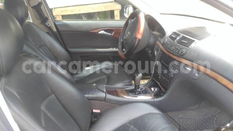 Big with watermark 49686226 2213676598886570 7868094174594072576 n