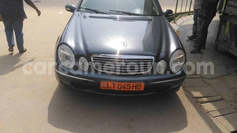 Big with watermark 49371995 2213676658886564 2121468305238654976 n