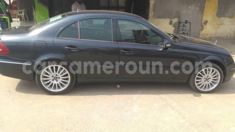 Big with watermark 49502994 2213676608886569 913126561278853120 n