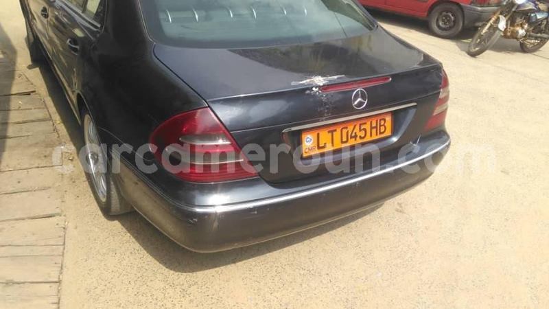 Big with watermark 49678565 2213676648886565 733626529220657152 n