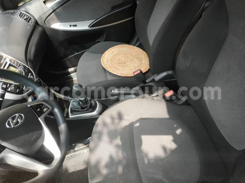 Big with watermark 49414100 2213670872220476 8363702223384870912 n