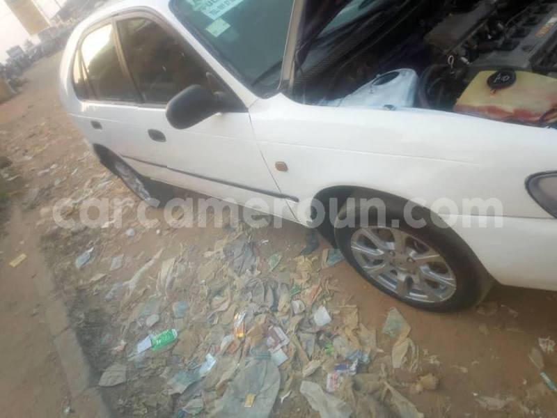 Big with watermark 49592384 2212459815674915 1573008888574246912 n