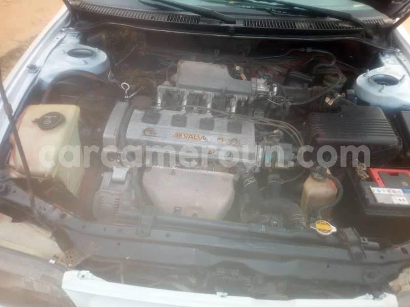 Big with watermark 49864145 2212459802341583 2242929048361631744 n