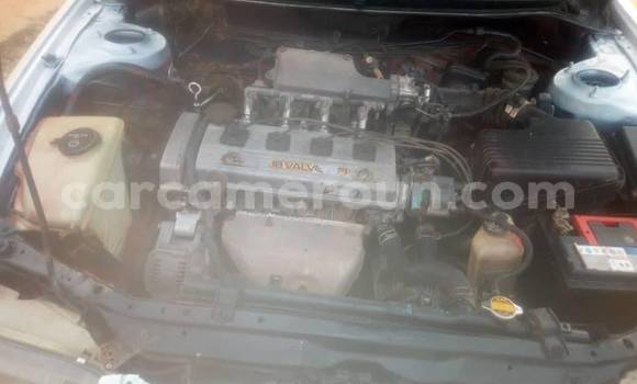 Acheter Occasion Voiture Toyota Corolla Blanc à Douala, Littoral Cameroon Acheter Occasion Voiture Toyota Corolla Blanc à Douala, Littoral Cameroon