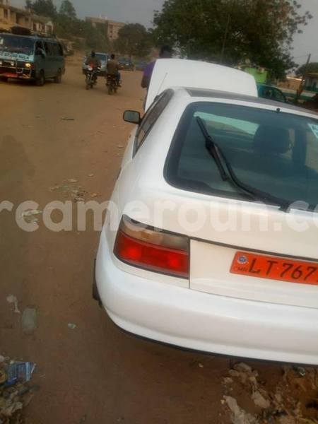 Big with watermark 49623480 2212459819008248 2669704632711774208 n