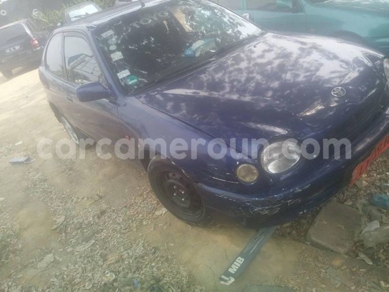 Big with watermark 49900422 2212458275675069 2343671376054845440 n