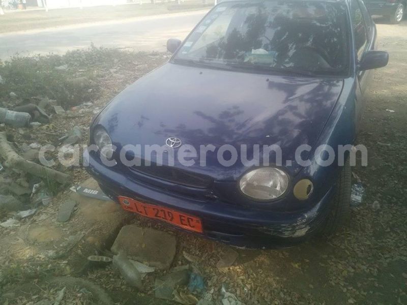 Big with watermark 49342219 2212458292341734 4084785387673747456 n