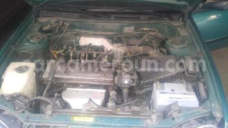 Big with watermark 49577052 2212458212341742 5187165821675241472 n