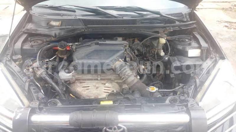 Big with watermark 49315674 2209685452619018 1126330893925875712 n