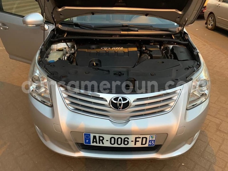 Big with watermark 50445747 2009319849361503 2697787903441895424 n