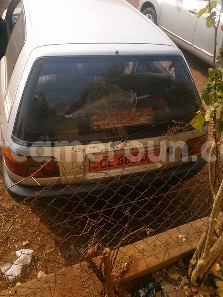 Big with watermark 48360519 1992661281027360 329972115329515520 n