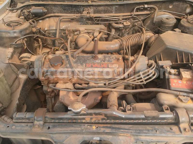 Big with watermark 48390260 1992661064360715 169377030364725248 n