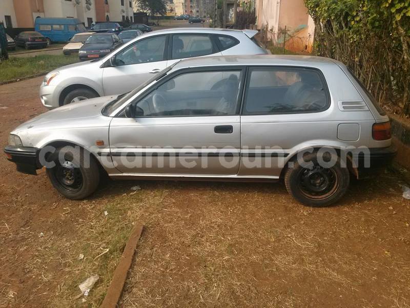 Big with watermark 48269115 1992660827694072 4841923680269238272 n