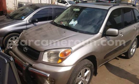 Sayi Na hannu Toyota RAV4 Brown Mota in Douala a Ƙasar Kamaru Sayi Na hannu Toyota RAV4 Brown Mota in Douala a Ƙasar Kamaru