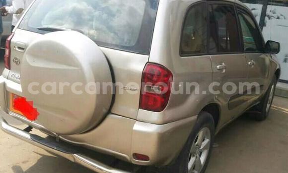 Sayi Na hannu Toyota RAV4 Brown Mota in Douala a Ƙasar Kamaru Sayi Na hannu Toyota RAV4 Brown Mota in Douala a Ƙasar Kamaru