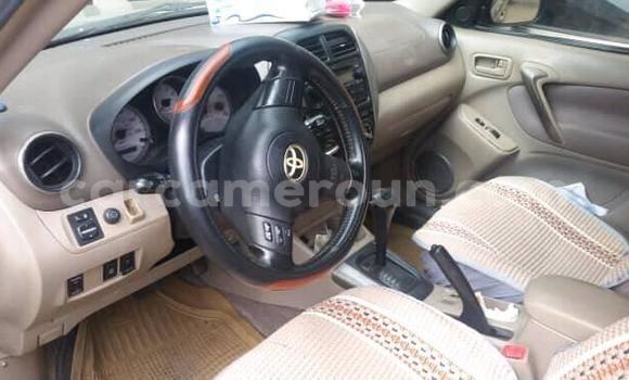 Sayi Na hannu Toyota RAV4 Brown Mota in Douala a Ƙasar Kamaru Sayi Na hannu Toyota RAV4 Brown Mota in Douala a Ƙasar Kamaru