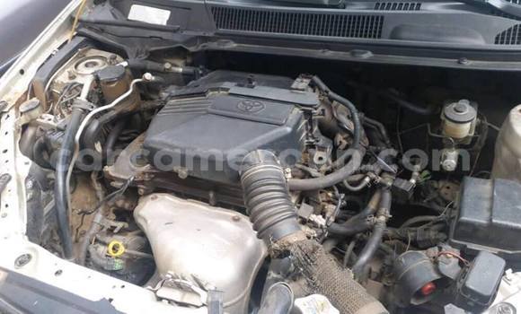 Sayi Na hannu Toyota RAV4 Brown Mota in Douala a Ƙasar Kamaru Sayi Na hannu Toyota RAV4 Brown Mota in Douala a Ƙasar Kamaru