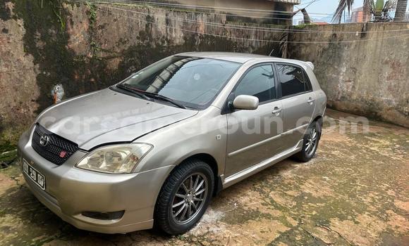 Buy cars for sale in cameroun - carcameroun