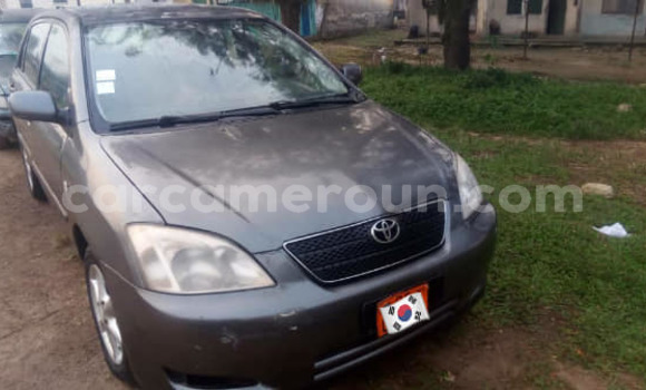 Sayi Na hannu Toyota Corolla Sauran Mota in Yaounde a Babban Kamaru Sayi Na hannu Toyota Corolla Sauran Mota in Yaounde a Babban Kamaru