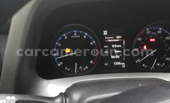 Acheter Occasion Voiture Toyota RAV4 Bleu à Douala, Littoral Cameroon Acheter Occasion Voiture Toyota RAV4 Bleu à Douala, Littoral Cameroon