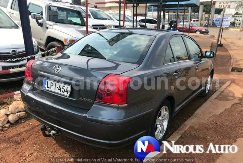 Big with watermark 50866799 716628238737757 8053046263907614720 n